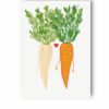 plakat marchewka i pietruszka