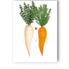 plakat marchewka i pietruszka (nowa wersja)