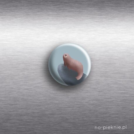 magnes na lodówkę morsowanie